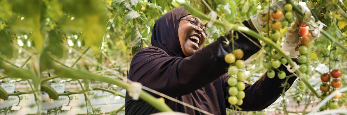 Fight Hunger. Spark Change. - Second Harvest Food Bank of Middle