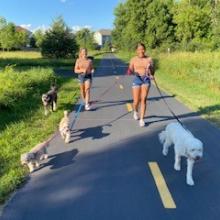 Harmony and Ava walking dogs